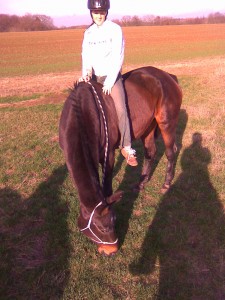 Obrazek